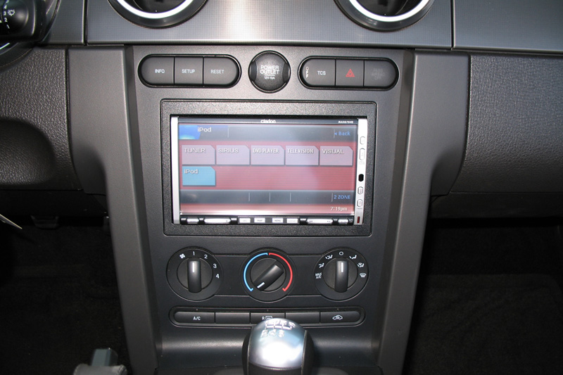 Shelby-04.jpg
