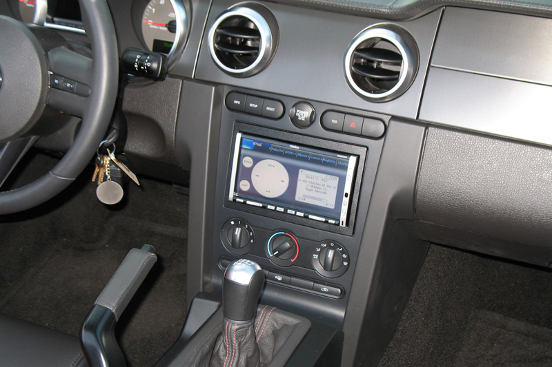 Shelby-05.jpg
