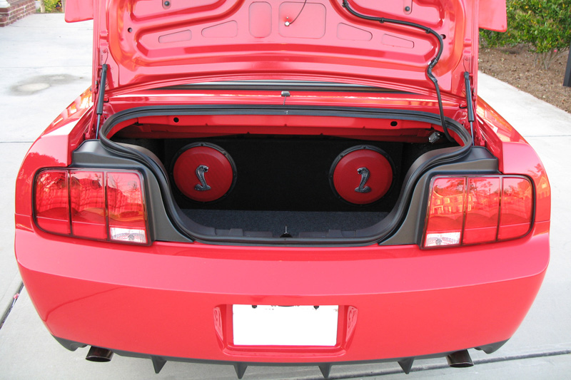 Shelby-06.jpg